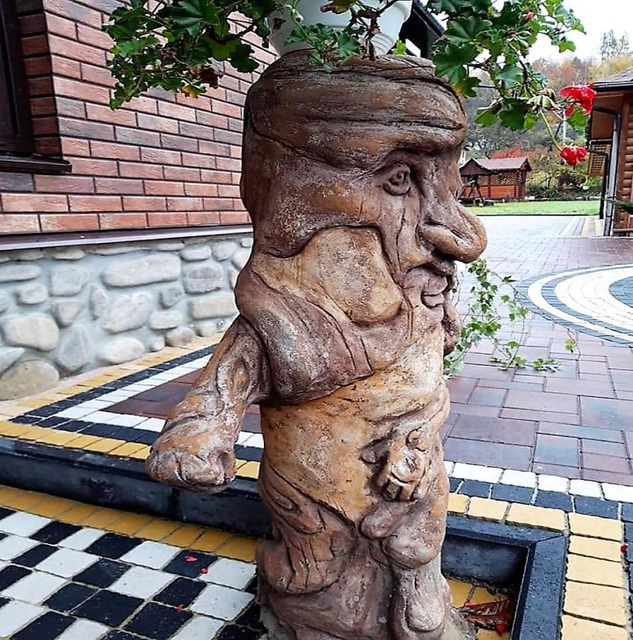 Hammam Spa Villa Daroso Cosău Exterior foto